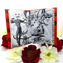 Action pages with Cat Noir